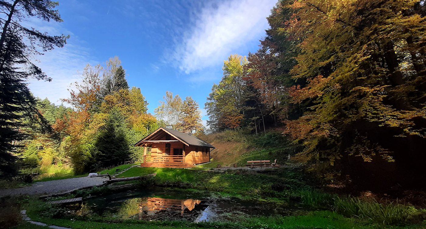 Widok na Domek Nad Stawem